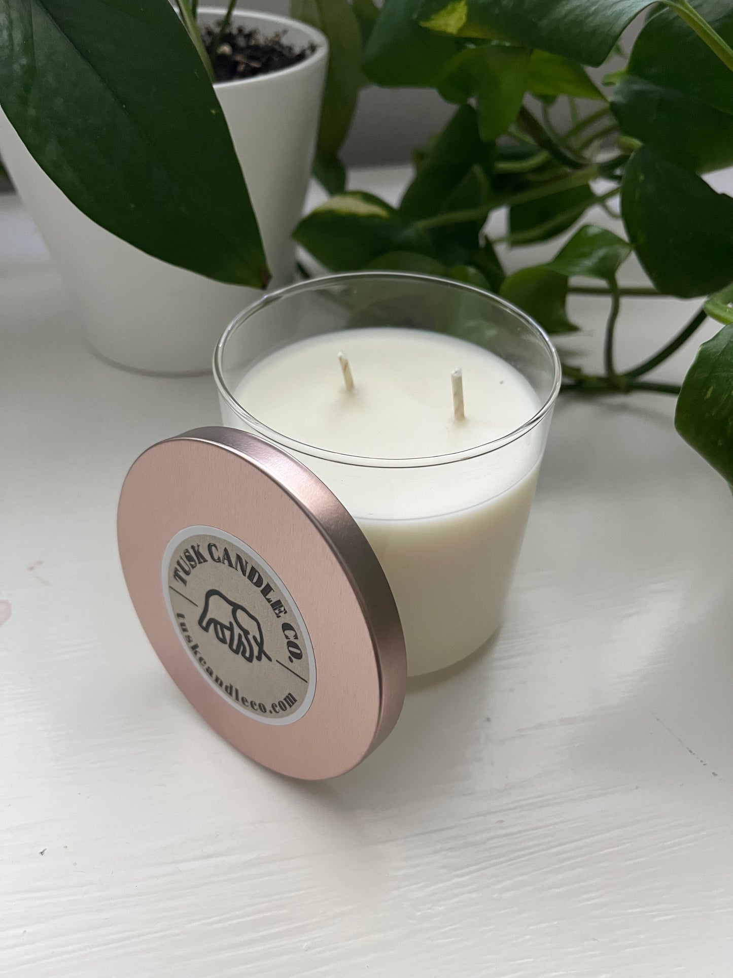 Candle with Cotton Wick- Fruit Collection