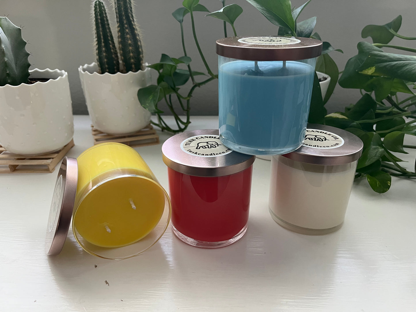 Candle with Cotton Wick- Fruit Collection